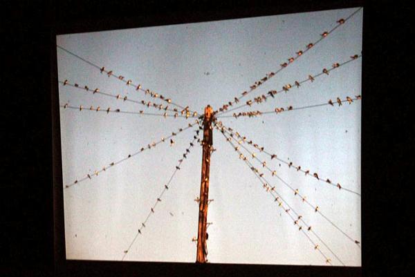 Time for the off.jpg